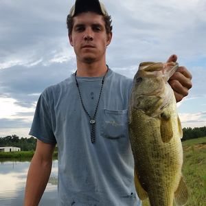 Meet your Posher, Miles